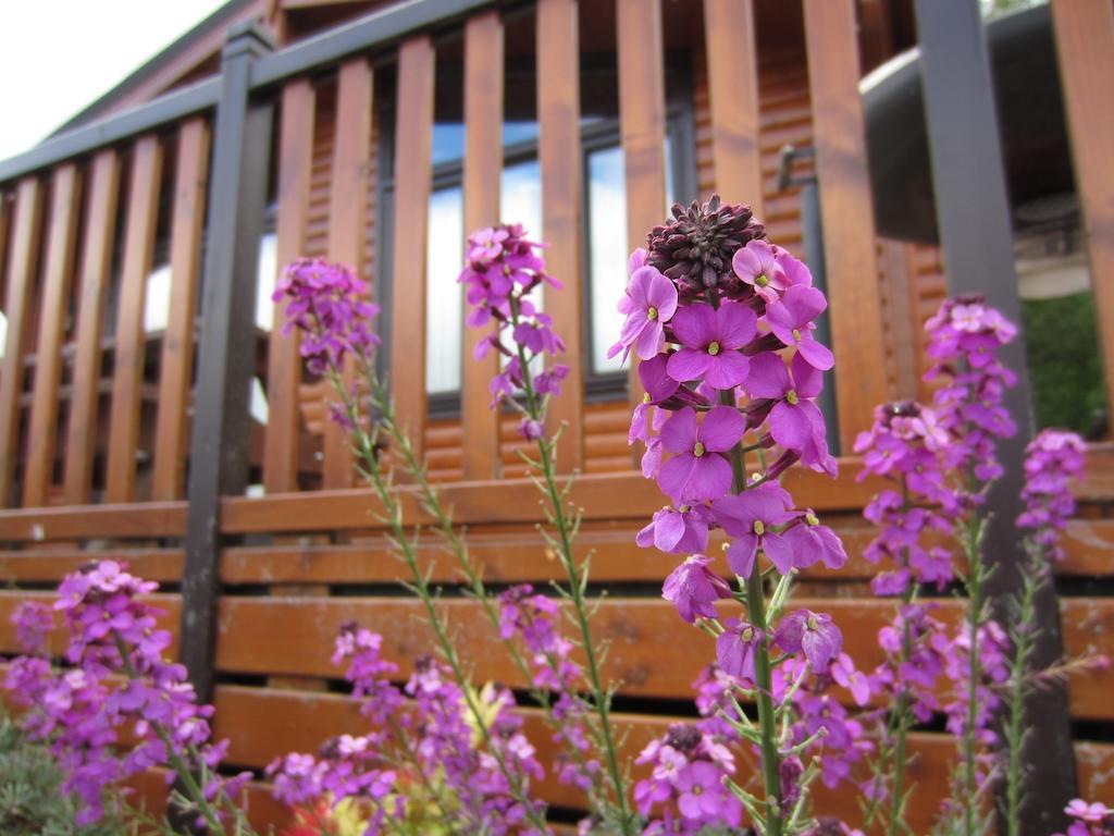 Inverbeg Holiday Park Luss Pokój zdjęcie